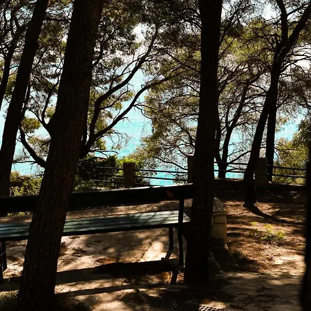 Lavica Mare Retreat - Modern Near Le Meridien *